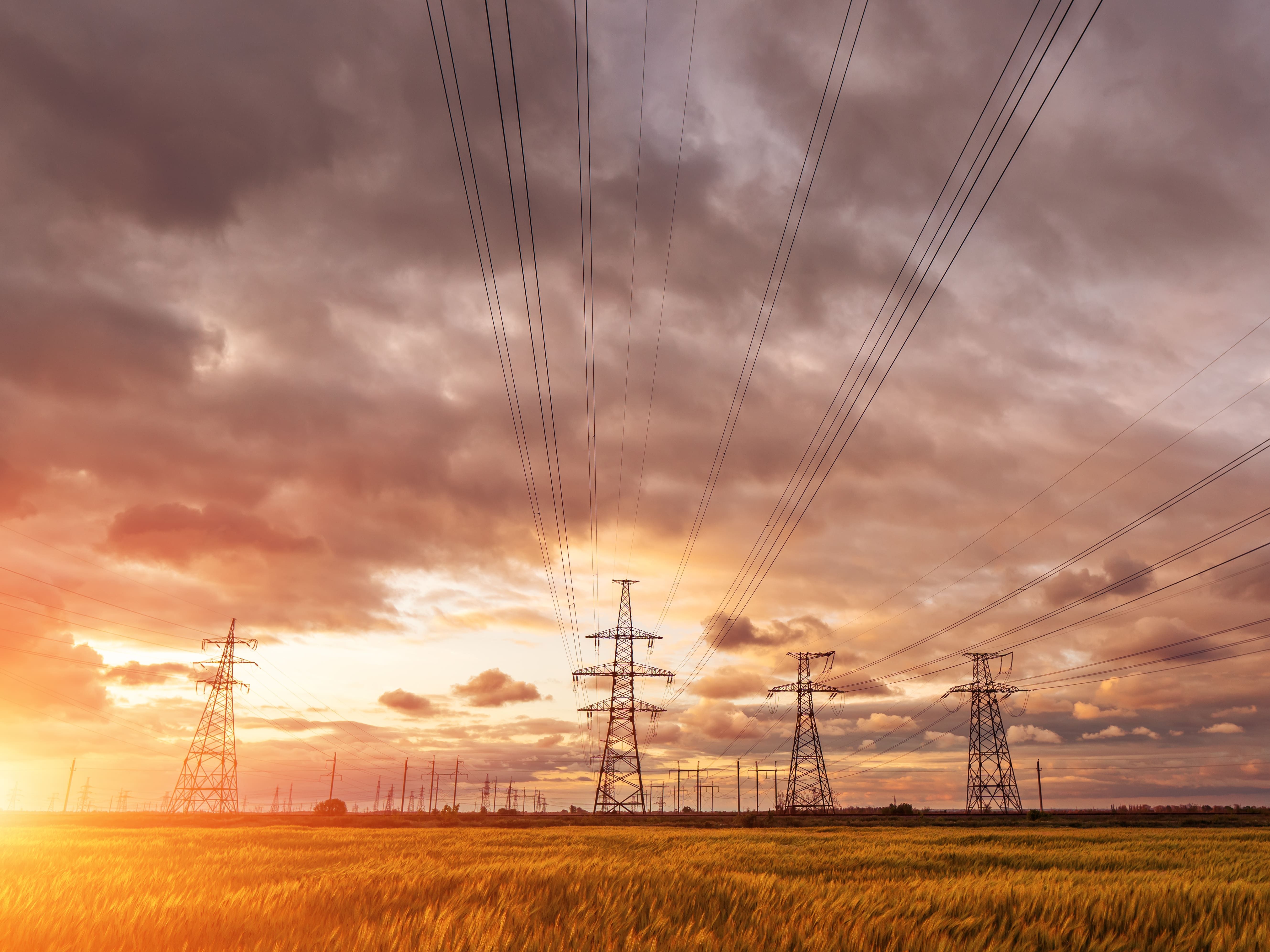 Stromnetze im Getreidefeld